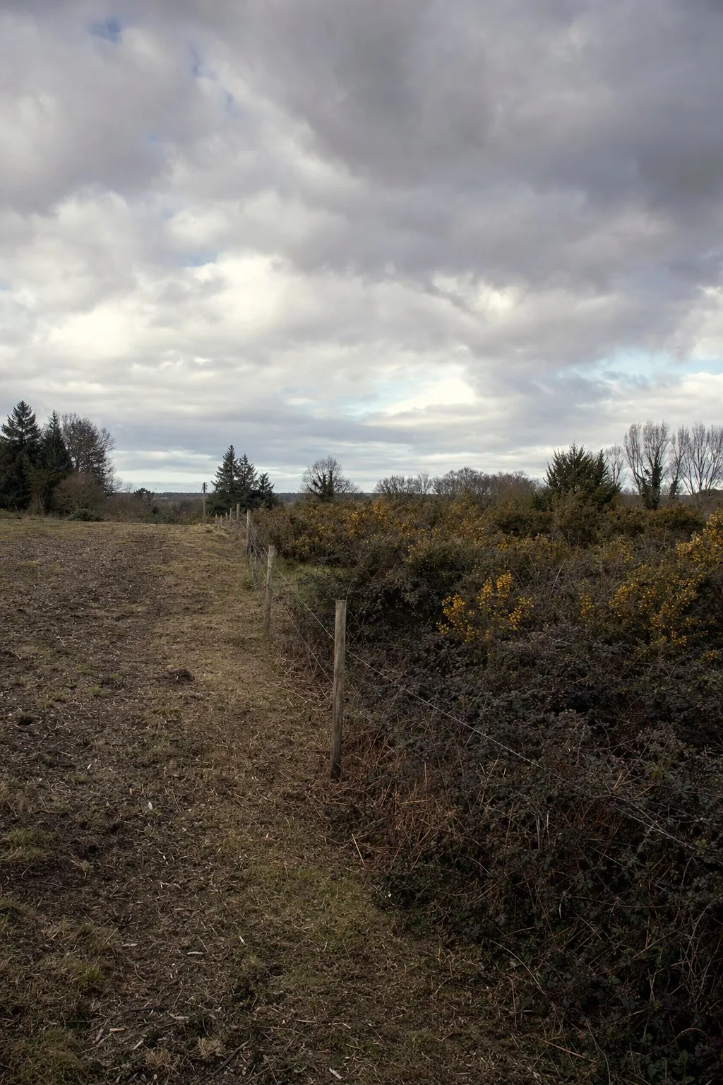 Terrain breton à moitié dégagé, ronces et clôture réapparue côté nettoyé.